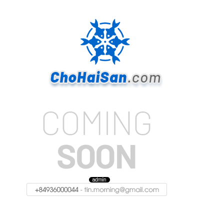 CHOHAISAN.COM